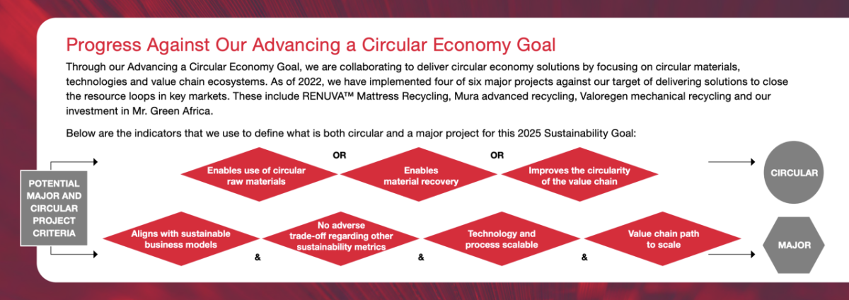 "Progress Against Our Advancing a Circular Economy Goal" infographic