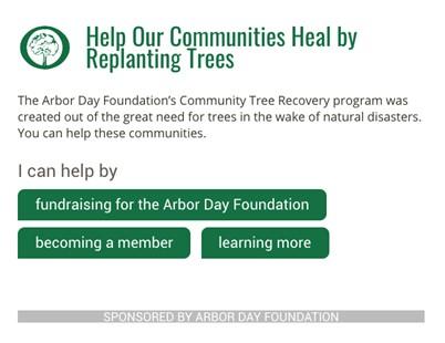 Arbor Day is excited to provide a widget to insert which empowers readers to get directly involved in the Arbor Day Foundation’s Community Tree Recovery Program. Please see instructions at the bottom of the press release for more details.