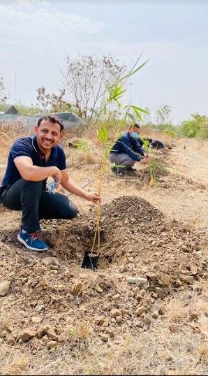 employee bends down next to tree sapling