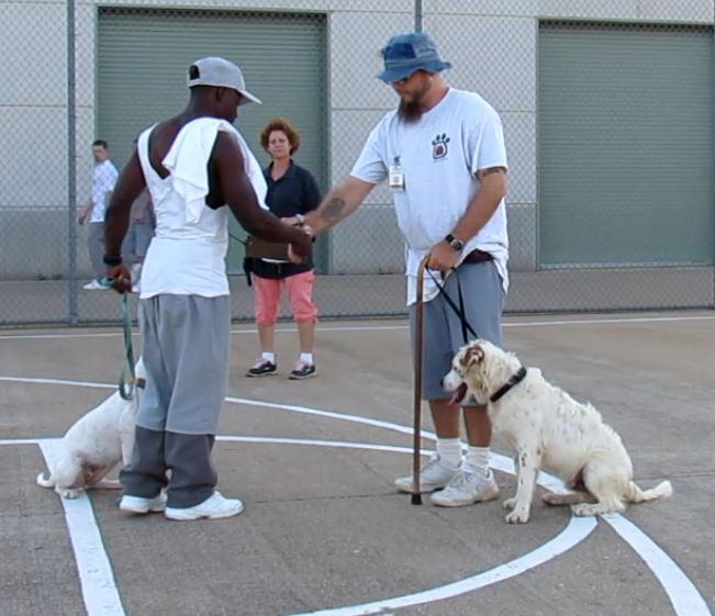 incarcerated people with puppies