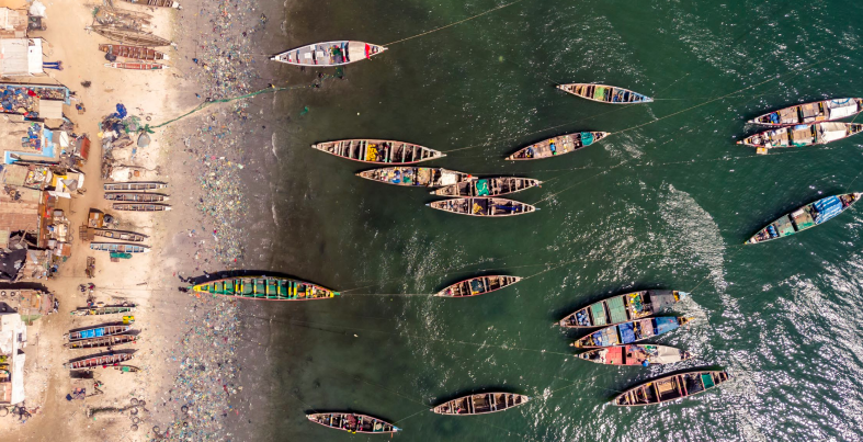 Aerial view of small boats on a bod of water and a busy shoreline.