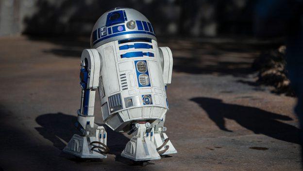 Image Credit: Disneyland Theme Parks