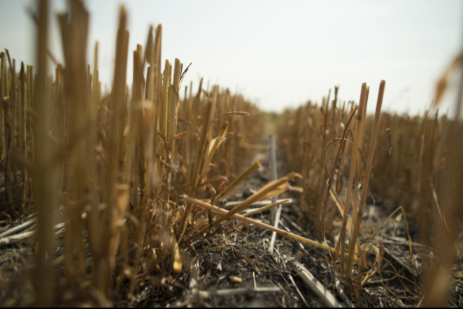 Healthier Soil, Better Climate?