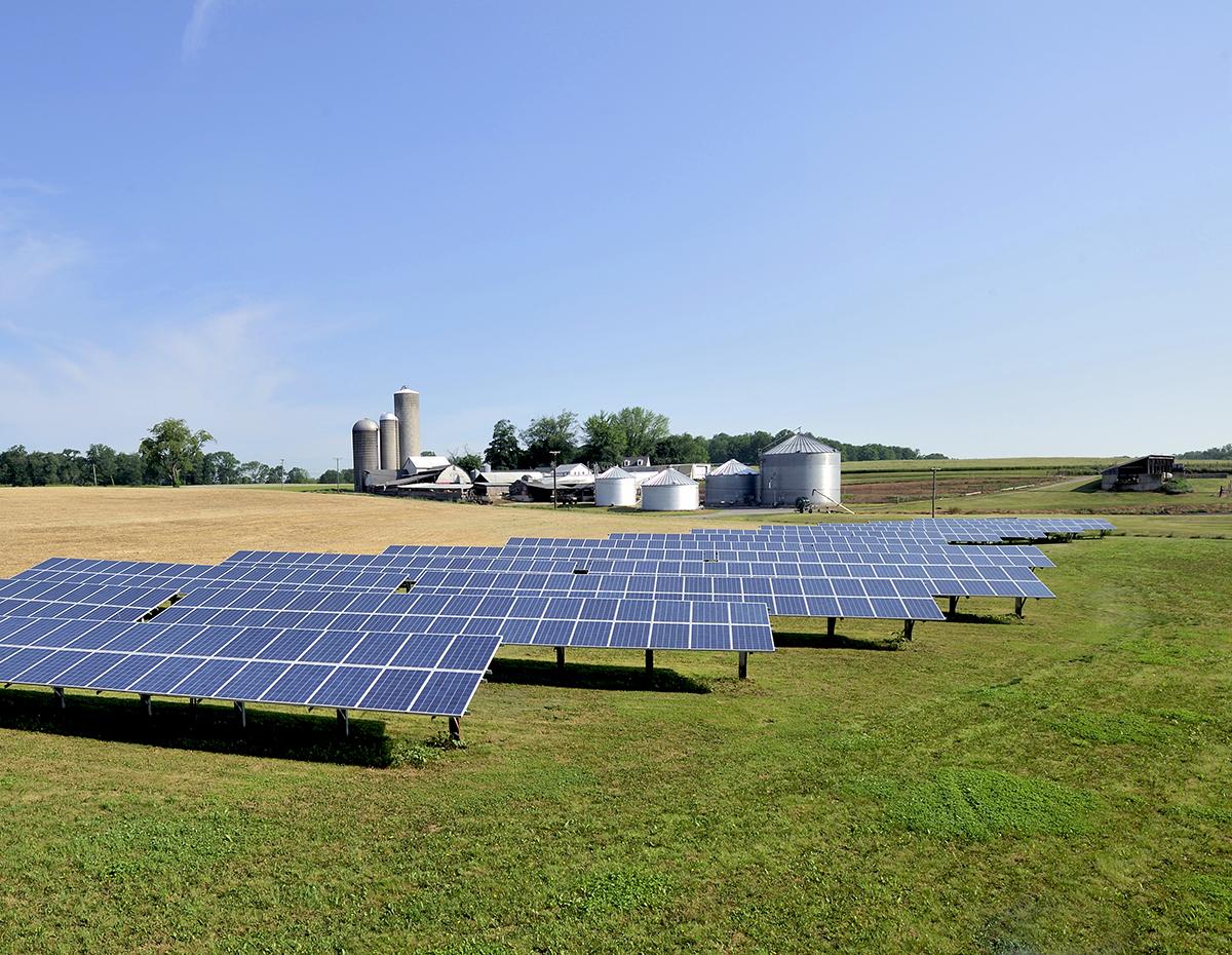 Solar panels in a field