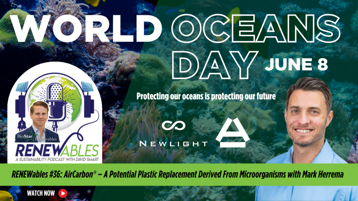Watch RENEWables #36 for World Oceans Day