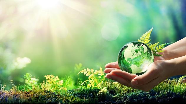Two hands holding a clear globe. Background of a forest floor and sun shining through trees.