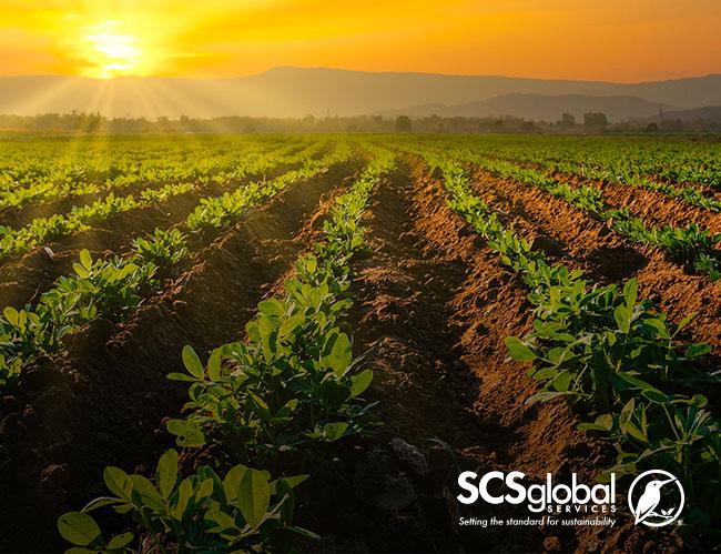 Regenerative Agriculture's Critical Role in Stabilizing Our Climate Regenerative Agriculture's Critical Role in Stabilizing Our Climate