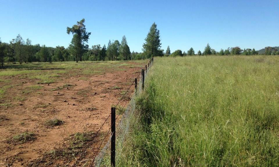 Photo: Conventional cattle ranching (left) compared to regenerative cattle ranching (right). Credit: Savory Institute