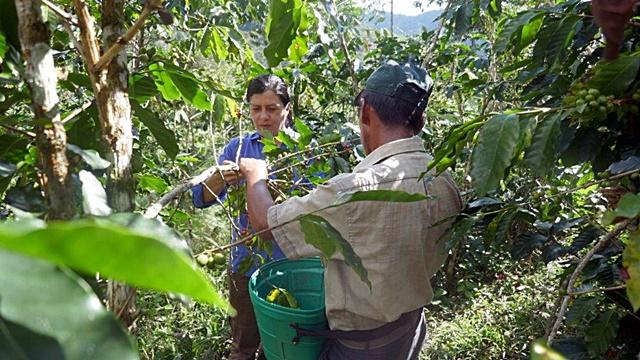 Maria Baca of ICRAF