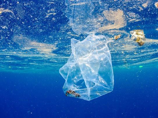 Photo Credit: Troy Mayne, WWF