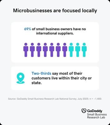 Chart detailing how microbusinesses are focused locally.