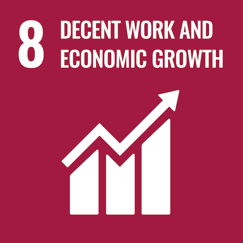 SDG 8: Decent work and economic growth.