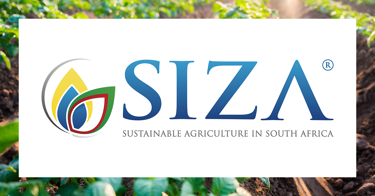 SIZA achieves SSCI Recognition