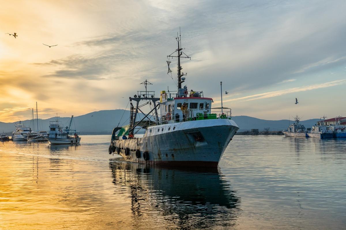 Fishing boat 