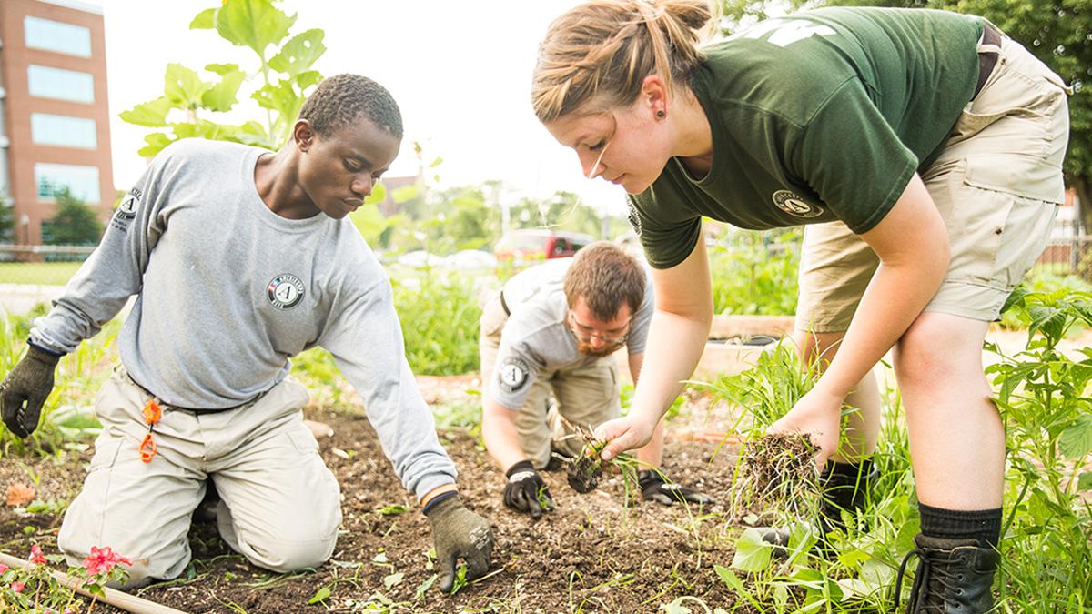 people gardening