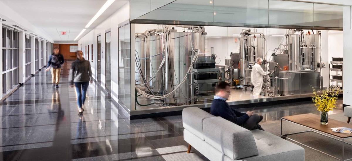 People walking in a hallway and seated in a reception area. A person in protective lab gear behind a glass-walled room.