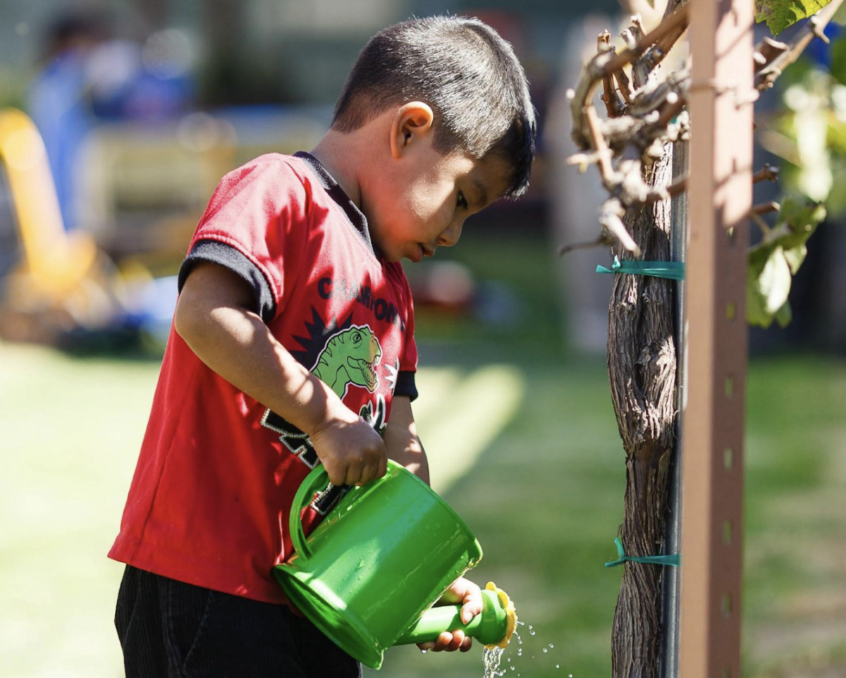 Child in red shirt pouring water from watering canteen