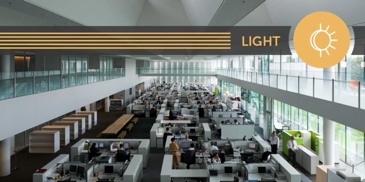 Interior of Obayashi's Technical Research Institute. The first WELL Certified™ project in Japan as well as the first WELL Certified™ New and Existing Building project in the world.