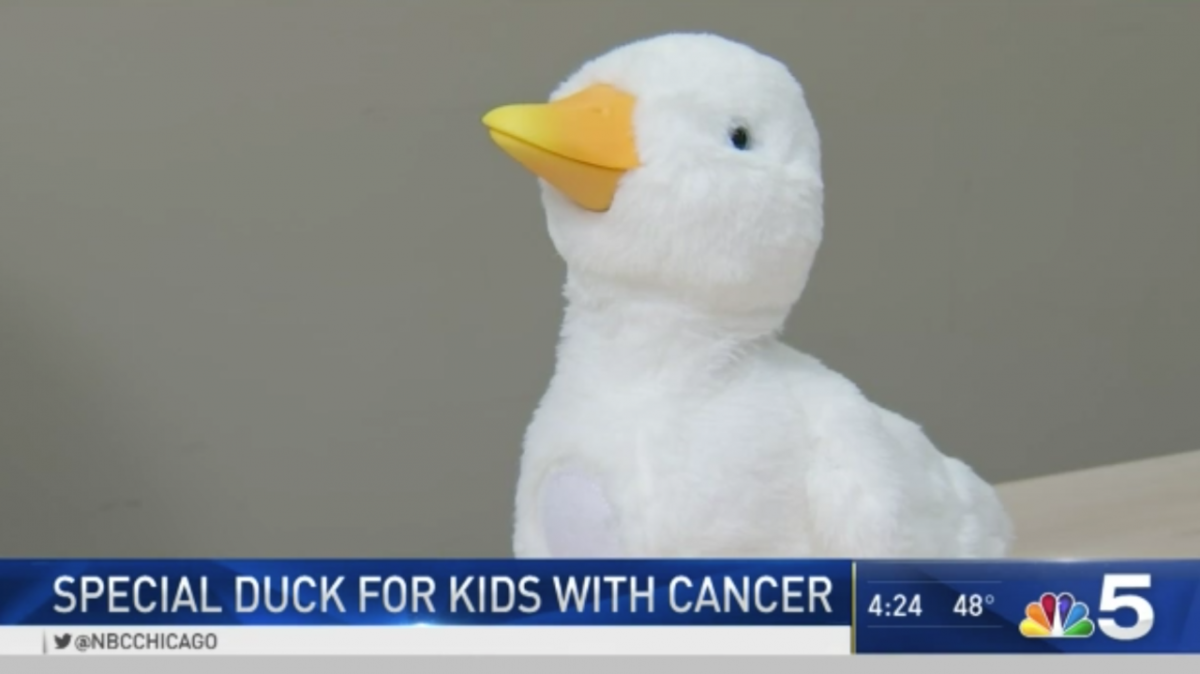 Credit NBC Chicago 5