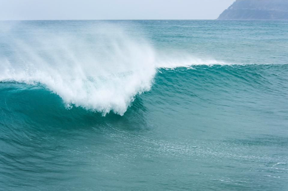 image courtesy Forbes.com