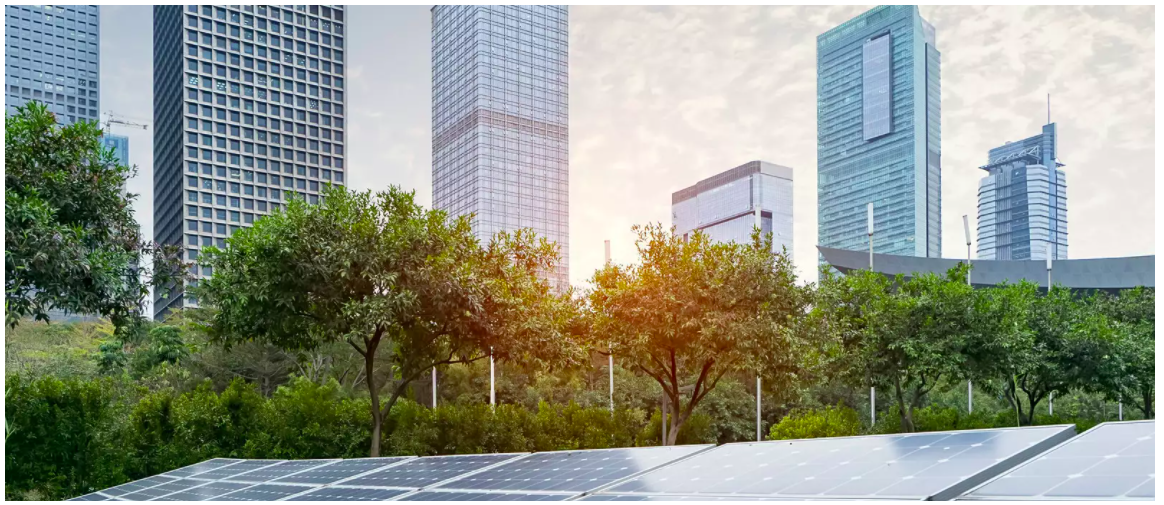 Cities lie at the heart of the fight against climate change and now have the chance to build back better. Image: Getty Images/iStockphoto