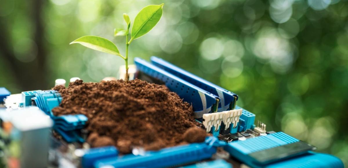 Electronics in the dirt with a plant.