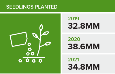 infograph of how many seedlings planted in the past 3 years