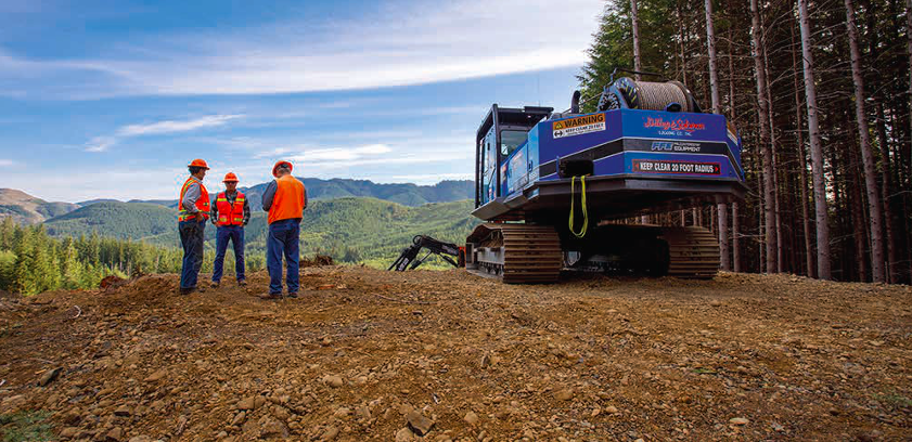 three workers and a truck on a plot of cleared forest