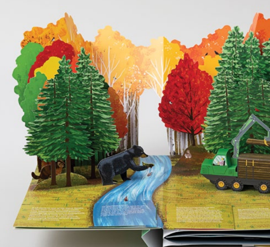 model river and forest