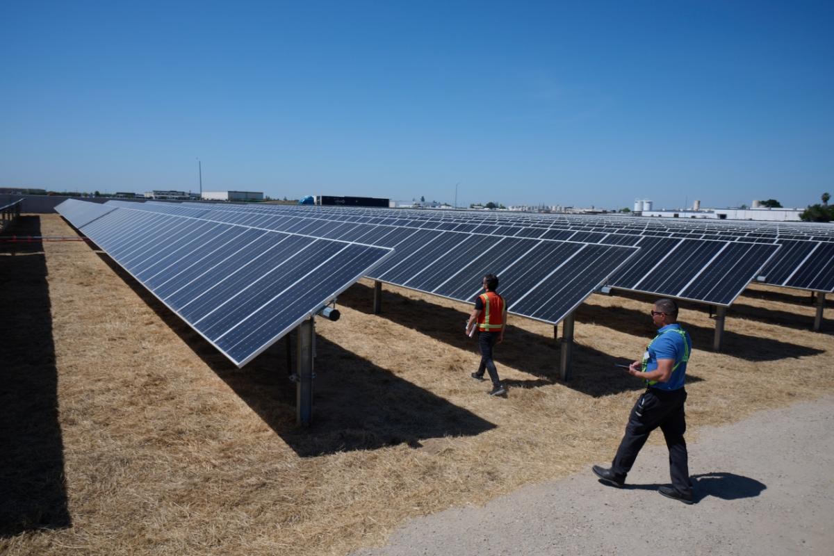 Solar panels in a row. 