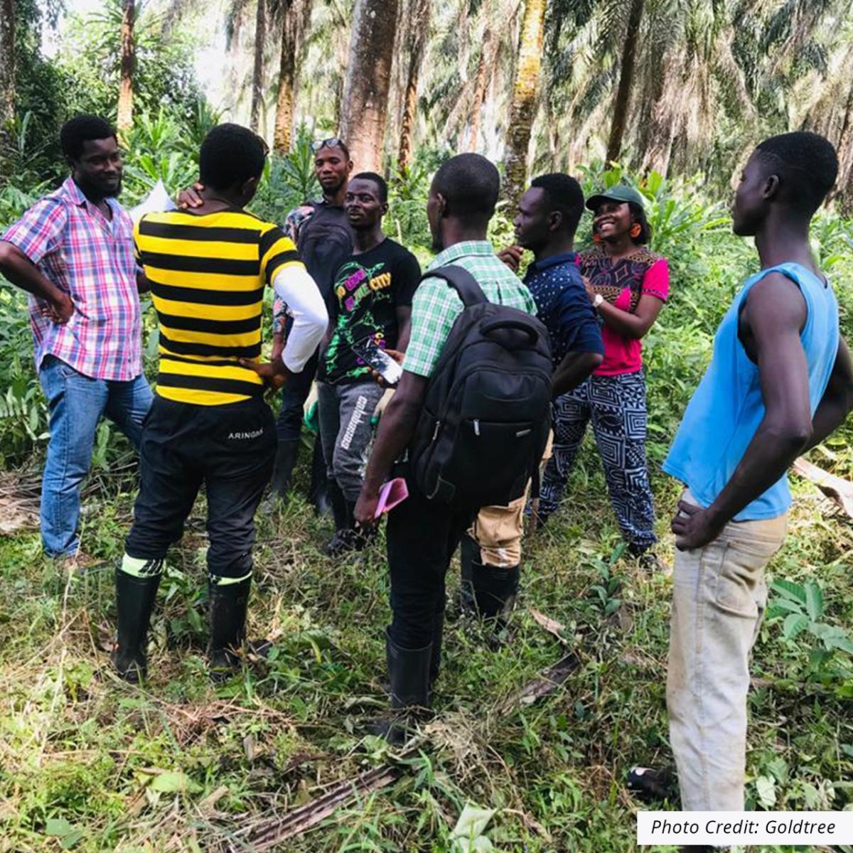 group standing in forest