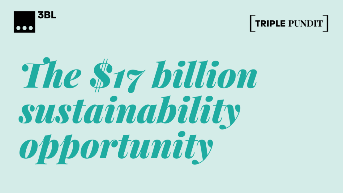 "The $17 billion sustainability opportunity"