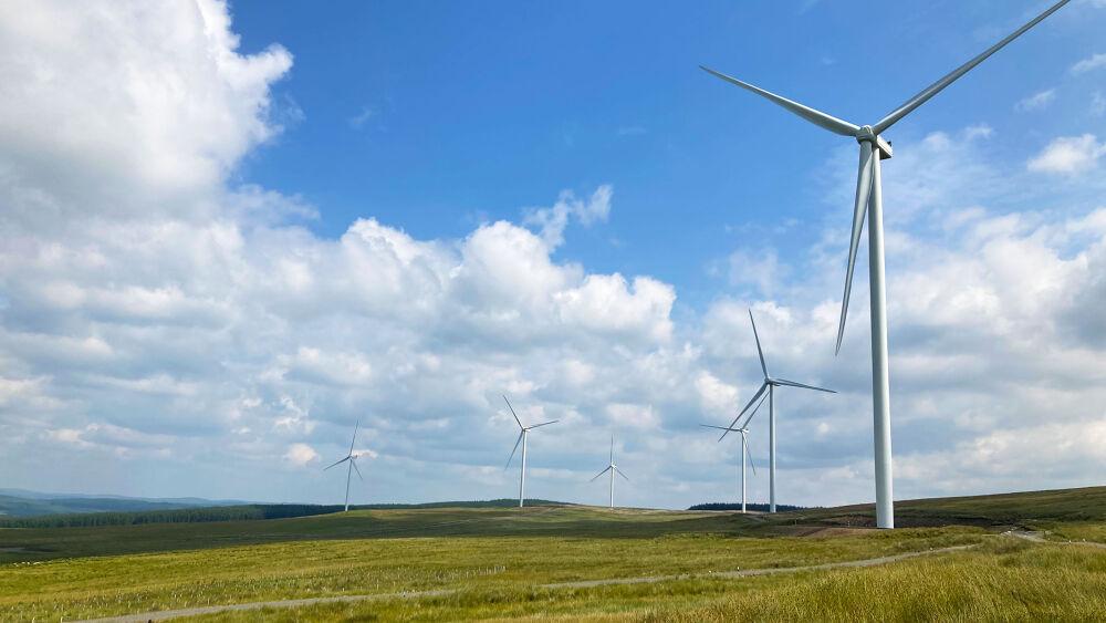 Wind turbines in a field