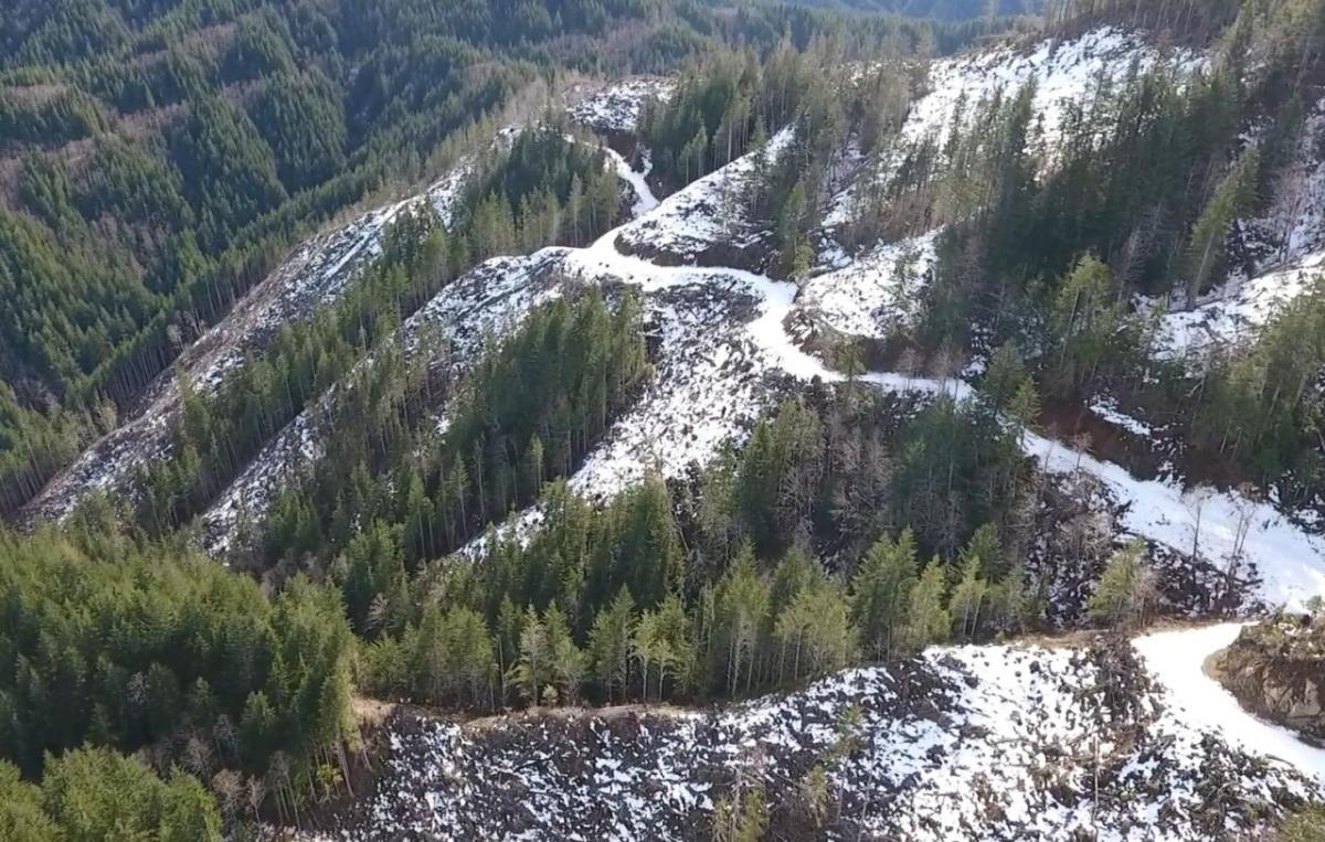 Aerial view of snow covered roads in a forest