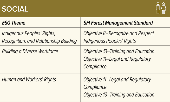 SOCIAL - 2022 SFI Forest Management Standard