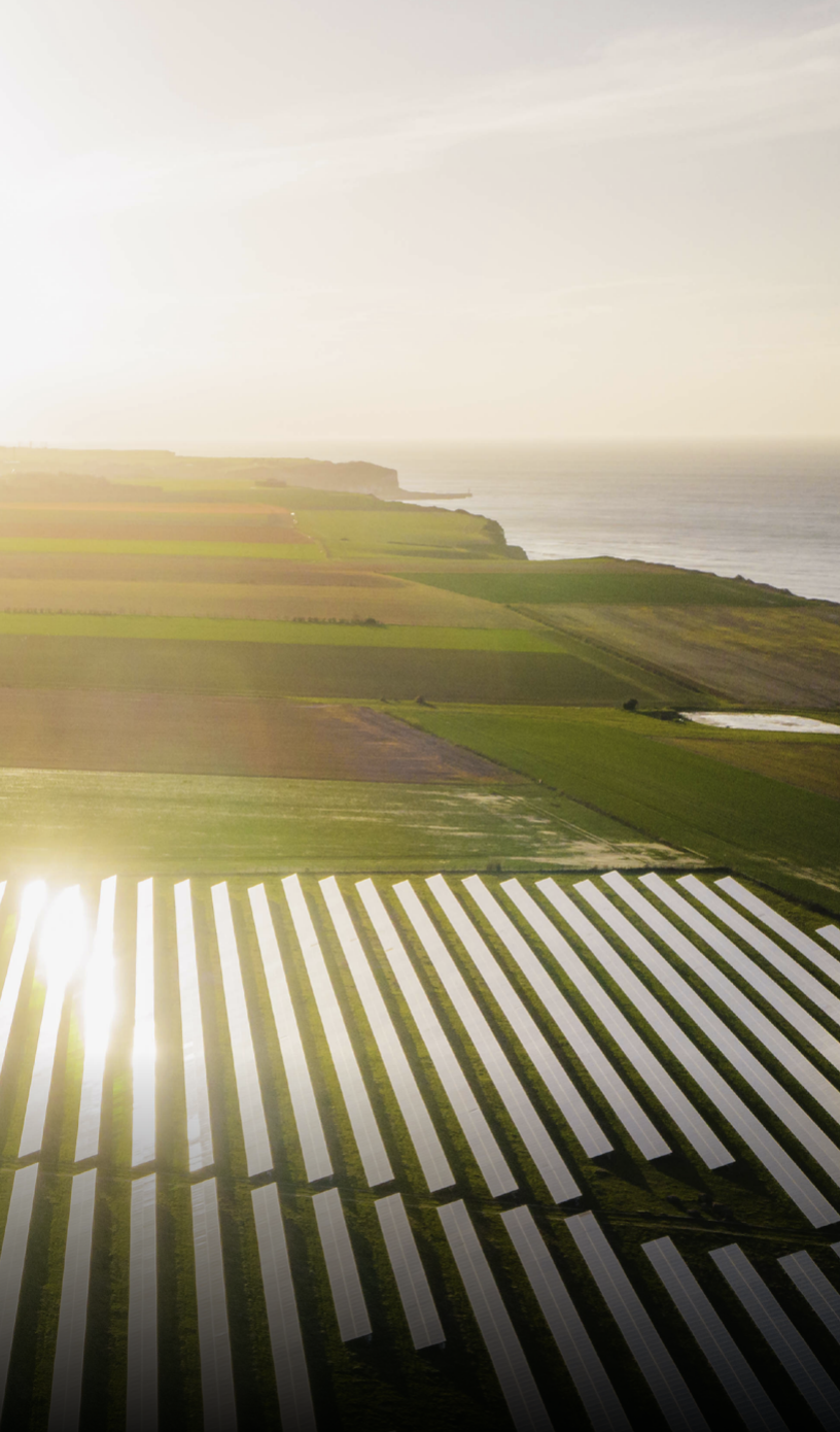 Solar farm