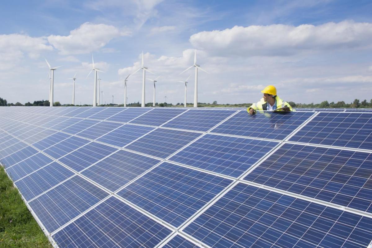 A person leant against a solar panel in a solar farm