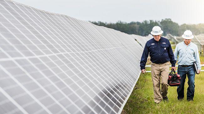 Two people in hard hats, carrying a bag and notebook, walking along a line of solar panels