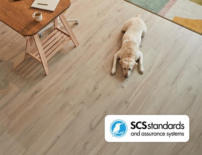 Dog lying on wooden floor with SCSstandards logo in corner of image