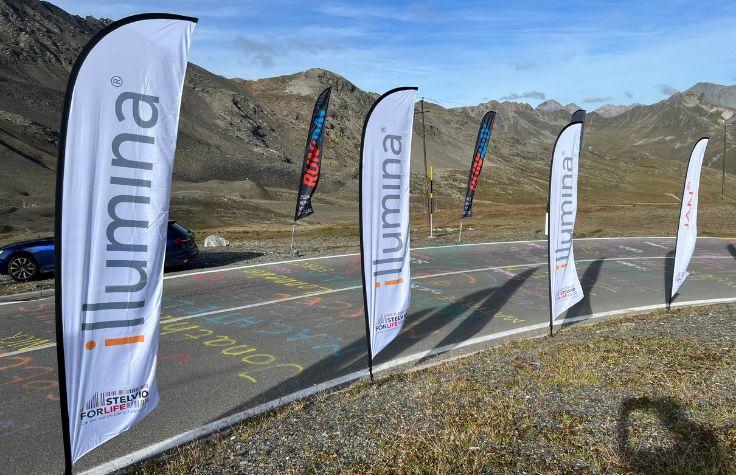 Illumina flags along the road to the summit of Stelvio.