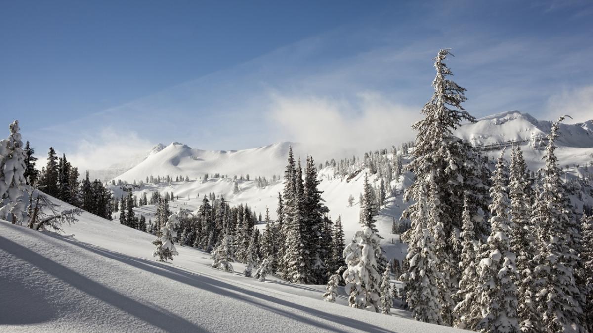 Grant Teton National Park. Photo credit: iStock / jaypeterson