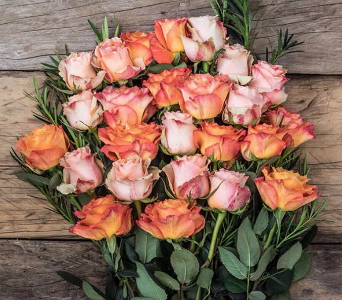 Fair Trade Certified sunset roses. Image courtesy of Buzzfeed.