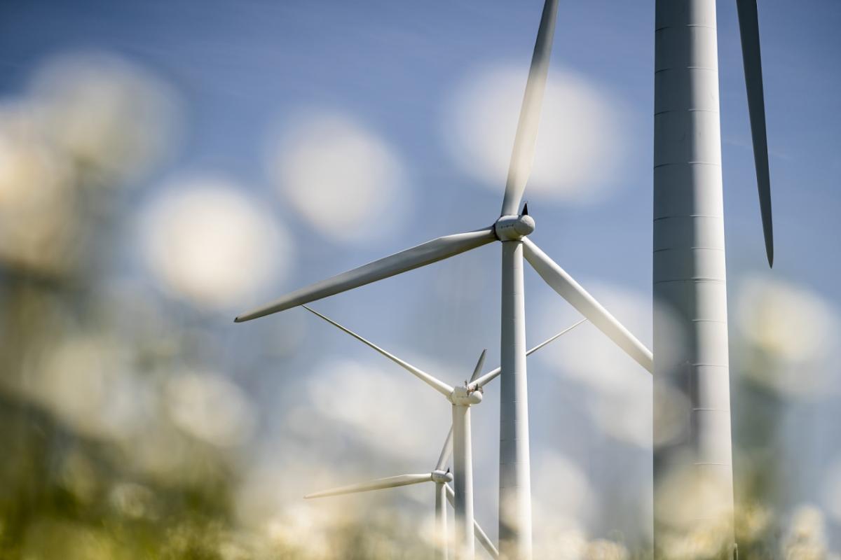 Line of Wind Turbines