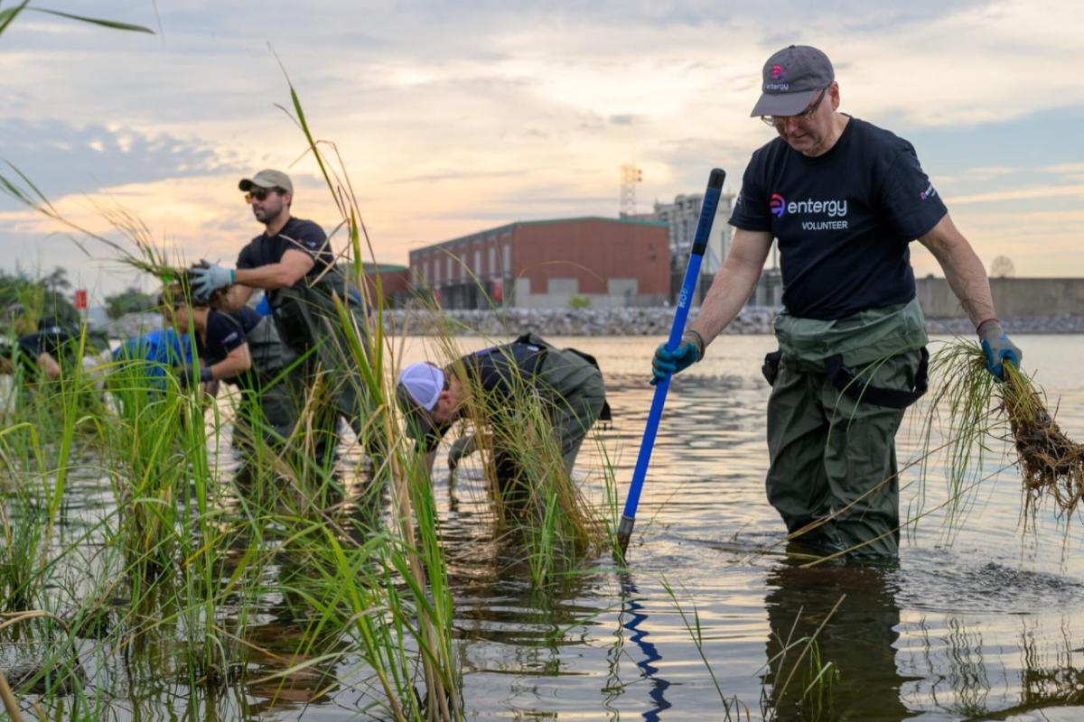 Volunteers working in marsh