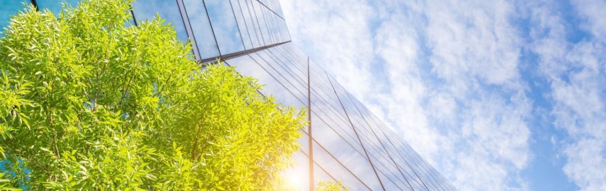 Tall glass building, tree tops, and sunny sky