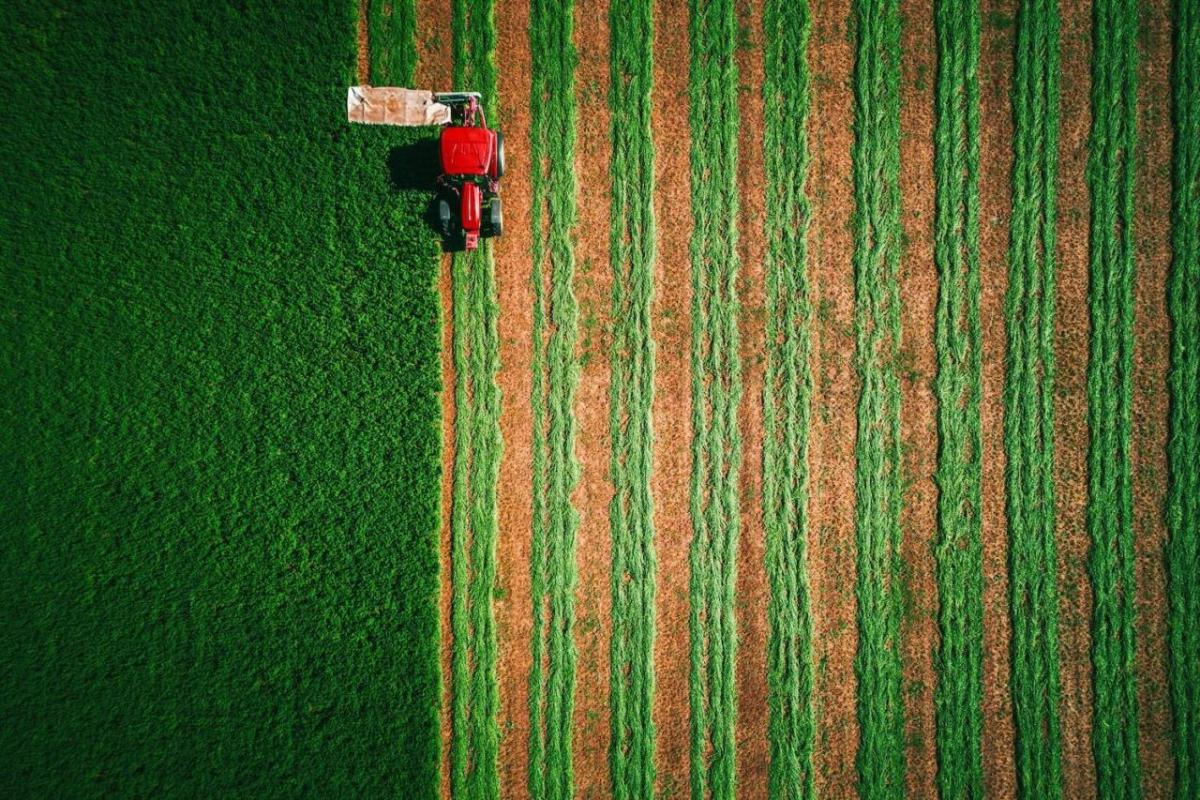 tractor mowing field