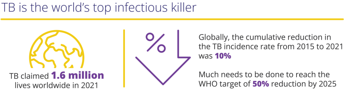 Info graphic "TB is the world's top infectious killer"