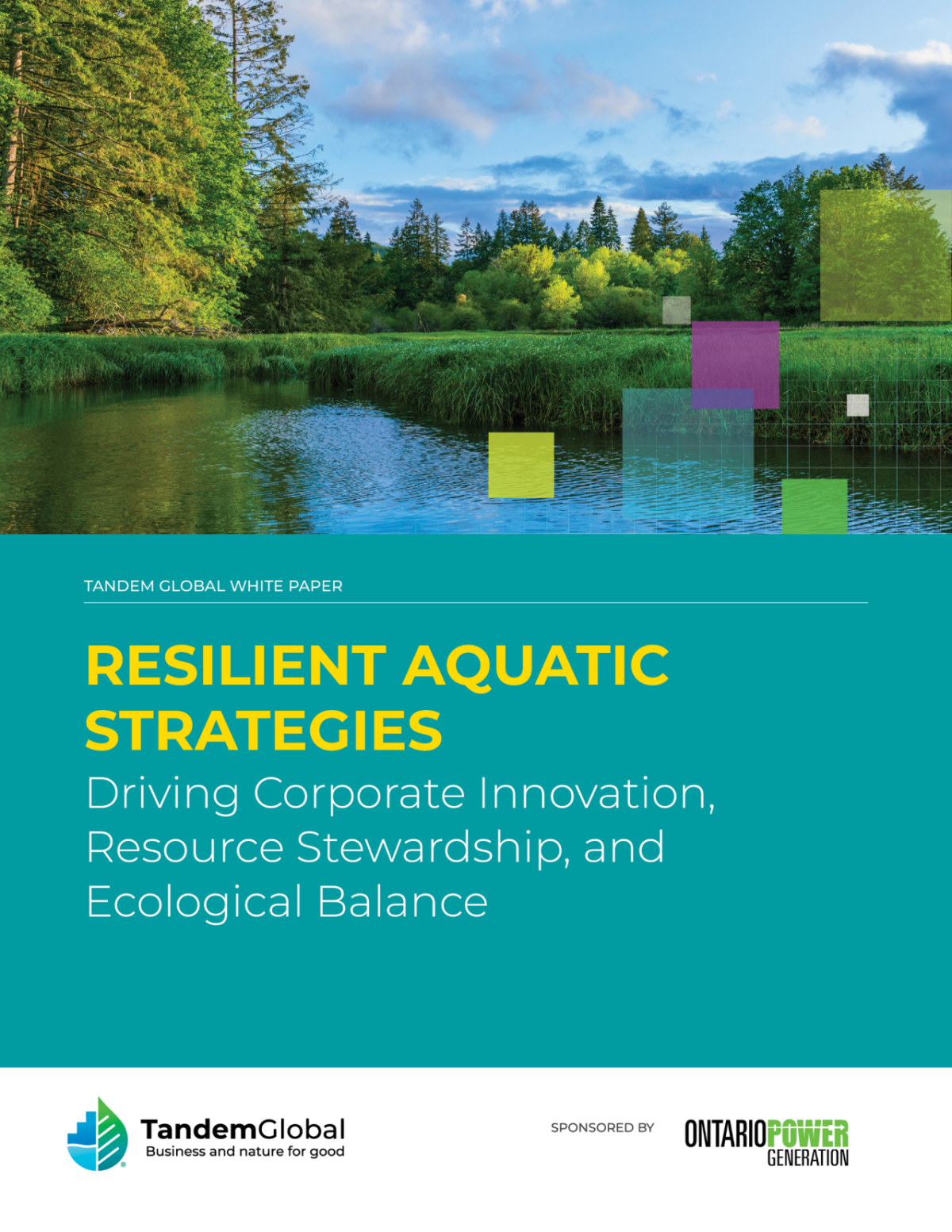 Resilient Aquatic Strategies White Paper Tandem Global white paper