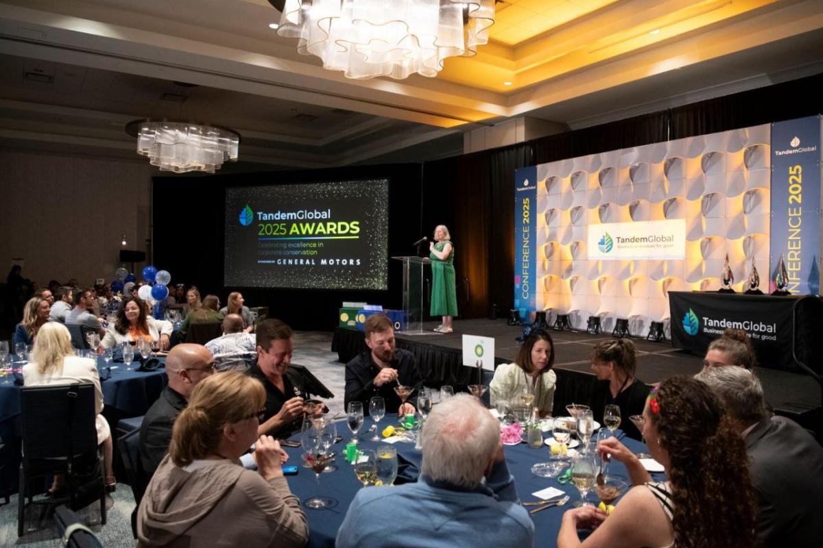 Tandem Global Awards