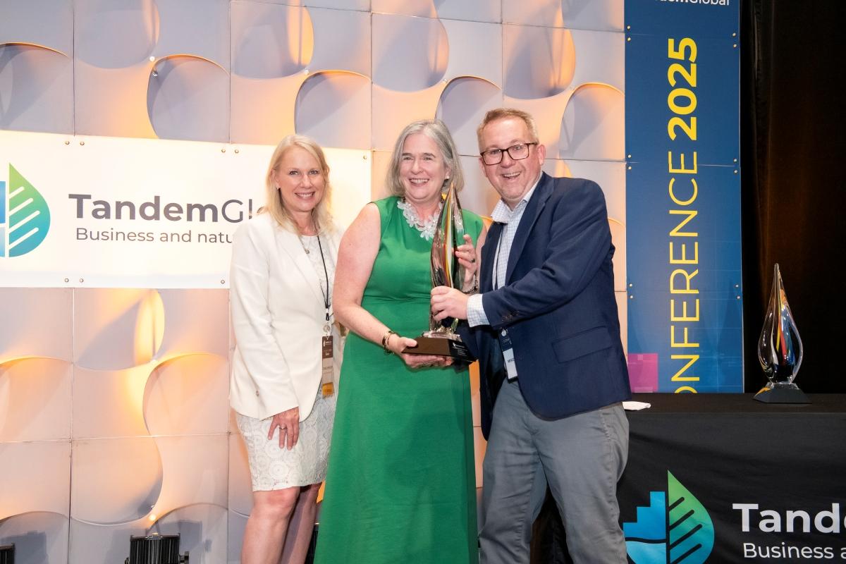 Tandem Global Awards